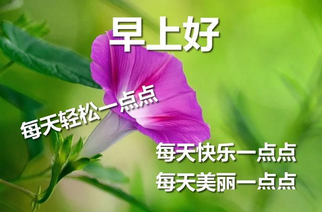 峿ʺϺõΨͼ,2020峿ףϺʺܰ