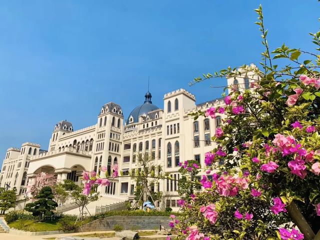 志愿■学考也能读本科大学！羡慕！专本直通车