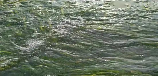 501280ec30844a69998ea37061e1d556.jpeg