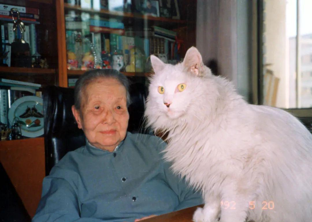 冰心1992年爱花与爱猫1988年,萧乾在"冰心文学创作生涯七十周年展览"