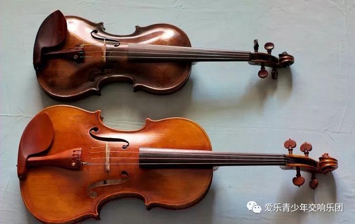 小提琴与中提琴的对比