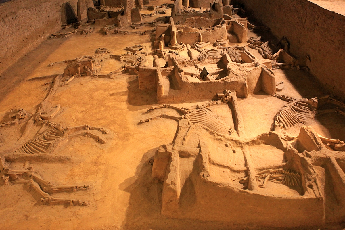 配置@周朝官员的车辆配置标准如何？去天子驾六博物馆寻找答案，