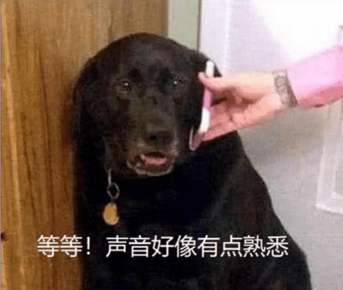 7353bbddb33547b8b528cad57a95f1de.jpeg