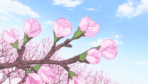 壁纸 花 桌面 474_271 gif 动态图 动图