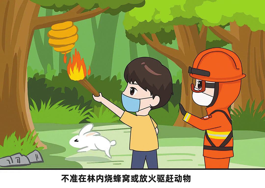 进入山林后,如何预防森林火灾!