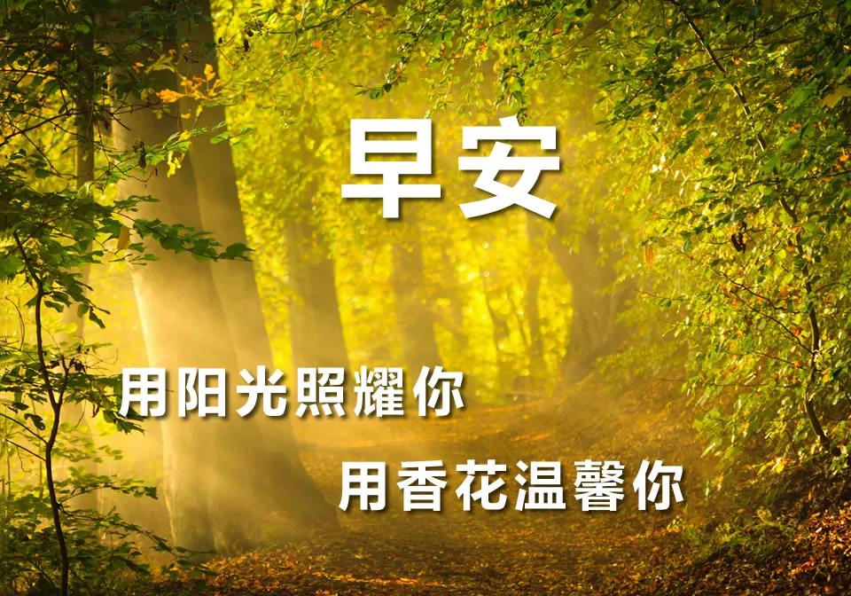 这个四月很漂亮的早上好问候语图片早上好的表情