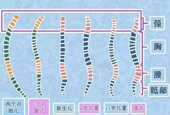 『智力』可能让其脊柱受伤、智力受损，附不同月份正确抱法别这样抱娃了