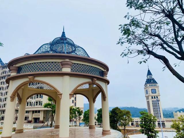 志愿■学考也能读本科大学！羡慕！专本直通车