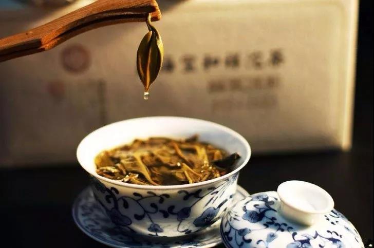 『春茶』为啥同样是绿茶，我们泡着喝，隔壁日本却做成了抹茶？，采春茶了