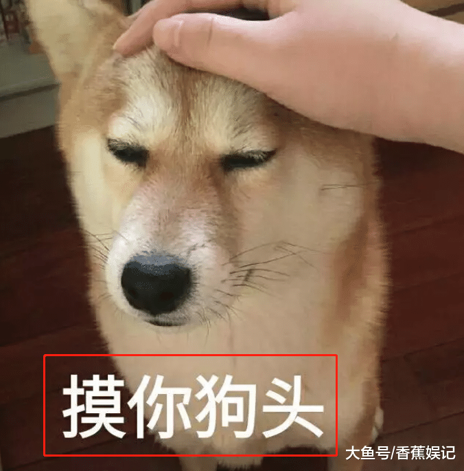 都喜欢爱抚