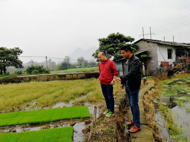 江口人口量_江口醇图片