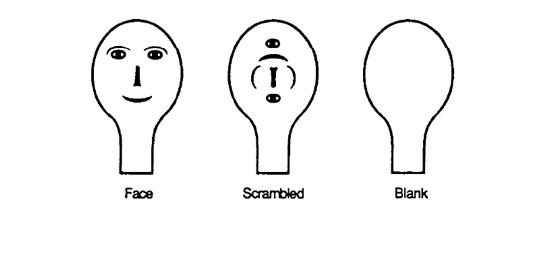 a710652441464308b4a112b6d09aba36.png
