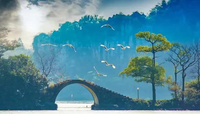 志愿■学考也能读本科大学！羡慕！专本直通车