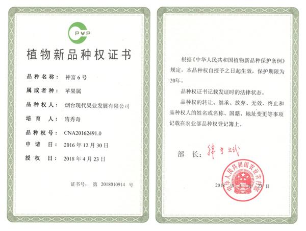 生物制药技术专升本可以升什么 afdcc3c33365445e8cd60d6eba470806.jpeg
