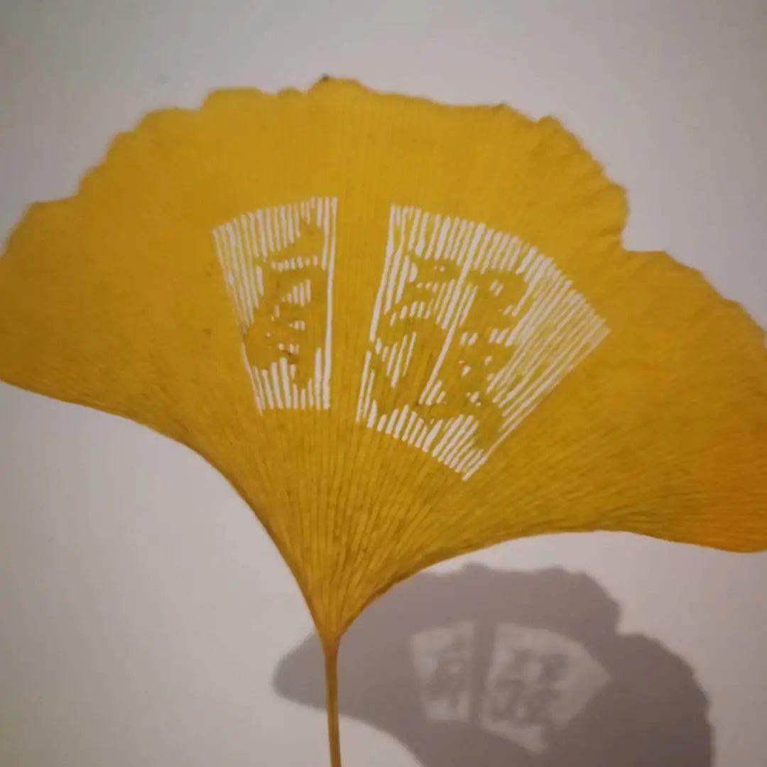 别出心裁淮工学子在树叶上刻字为中国加油