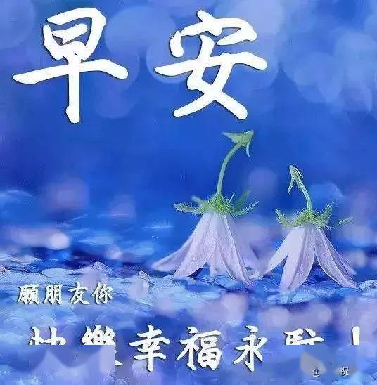 2020朋友圈最新版早上好问候语句,早安祝福语图片表情