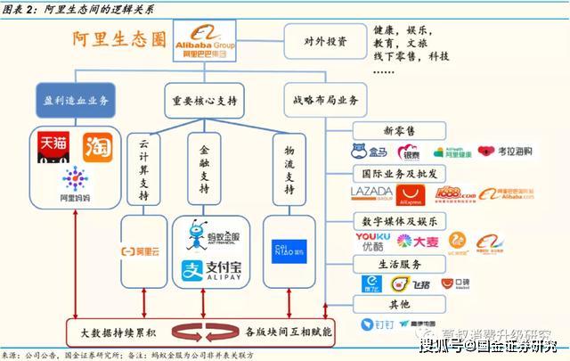 国金研究阿里究竟是一家做什么的公司