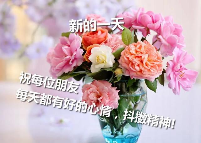 4月3日 微信早上最美的早安问候祝福语,早晨好祝福语图片