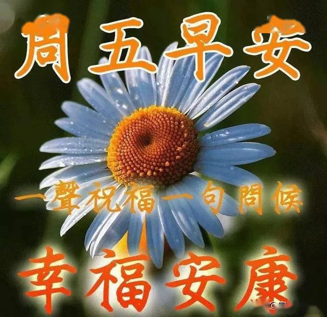 周五微信最美早安问候语图片带字温馨,清晨早上好表情