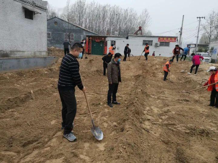 市直单位积极组织开展义务植树活动为森林濮阳建设增绿添彩