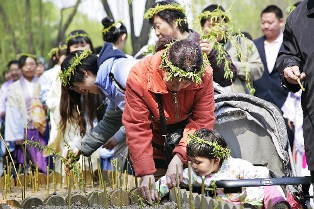 清明节除了祭祀为何还有戴柳插柳的民俗究竟有何寓意