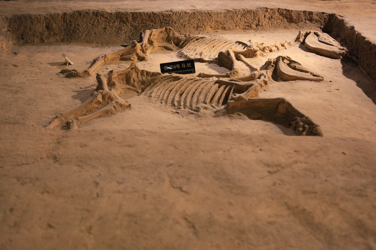 配置@周朝官员的车辆配置标准如何？去天子驾六博物馆寻找答案，