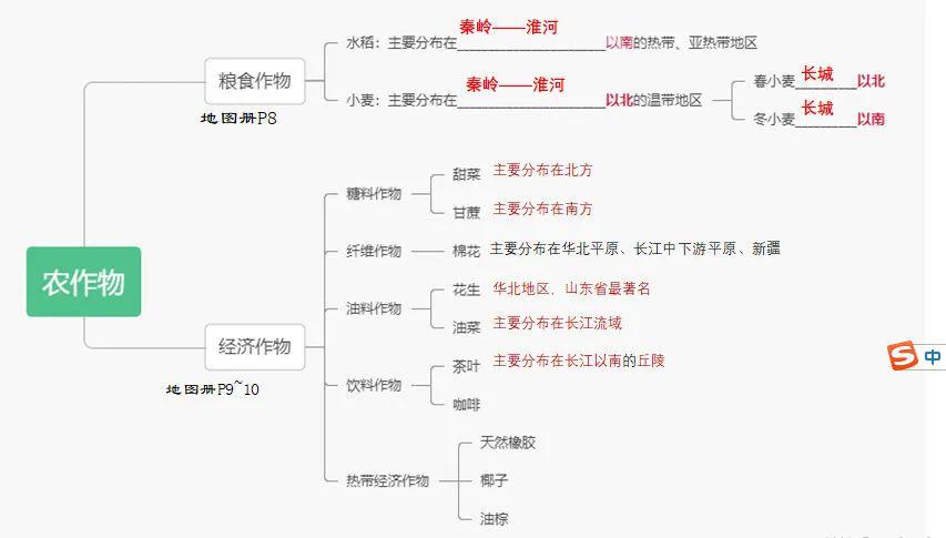 品质徐中思维导图助力空中课堂综合三组线上教学活动