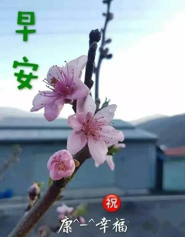 清晨早上好暖心祝福问候语短信,最漂亮早安问候语动态