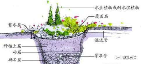 生物滞留池示意图来源:景观微评如有侵权,请联系删除返回搜狐,查看