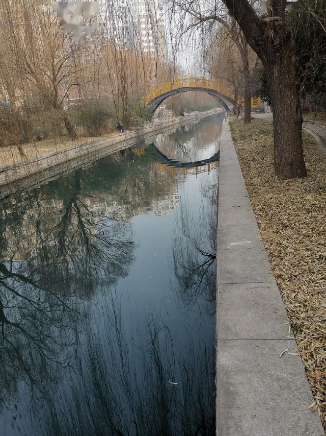 fc04209628cf43b8822b993102ef85b2.jpeg