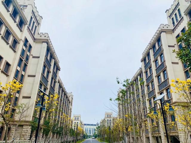 志愿■学考也能读本科大学！羡慕！专本直通车
