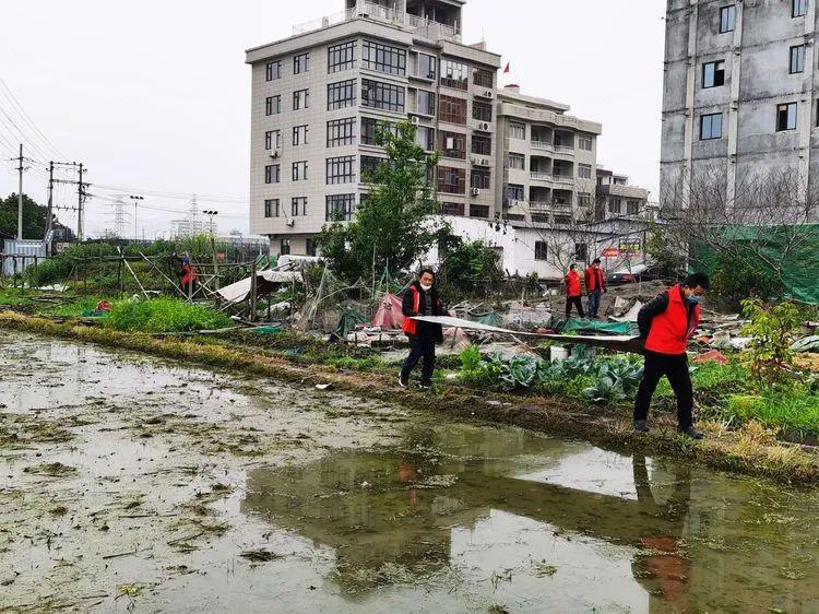 赵虎镇闫王张村多少人口_王朝马汉张龙赵虎图片