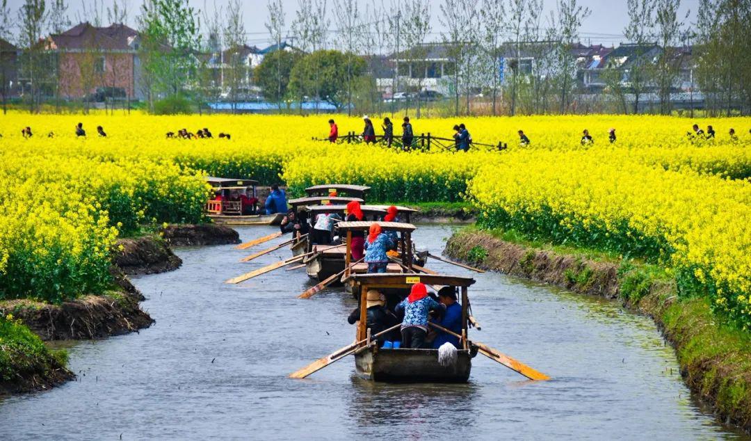 中国最美水上油菜花田,终于藏不住了!距南京不到3h,人民网都点赞!