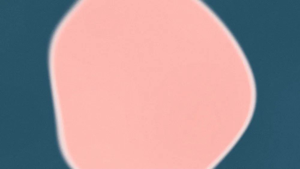 消息资讯|人工智能公司“Covariant”视觉形象设计