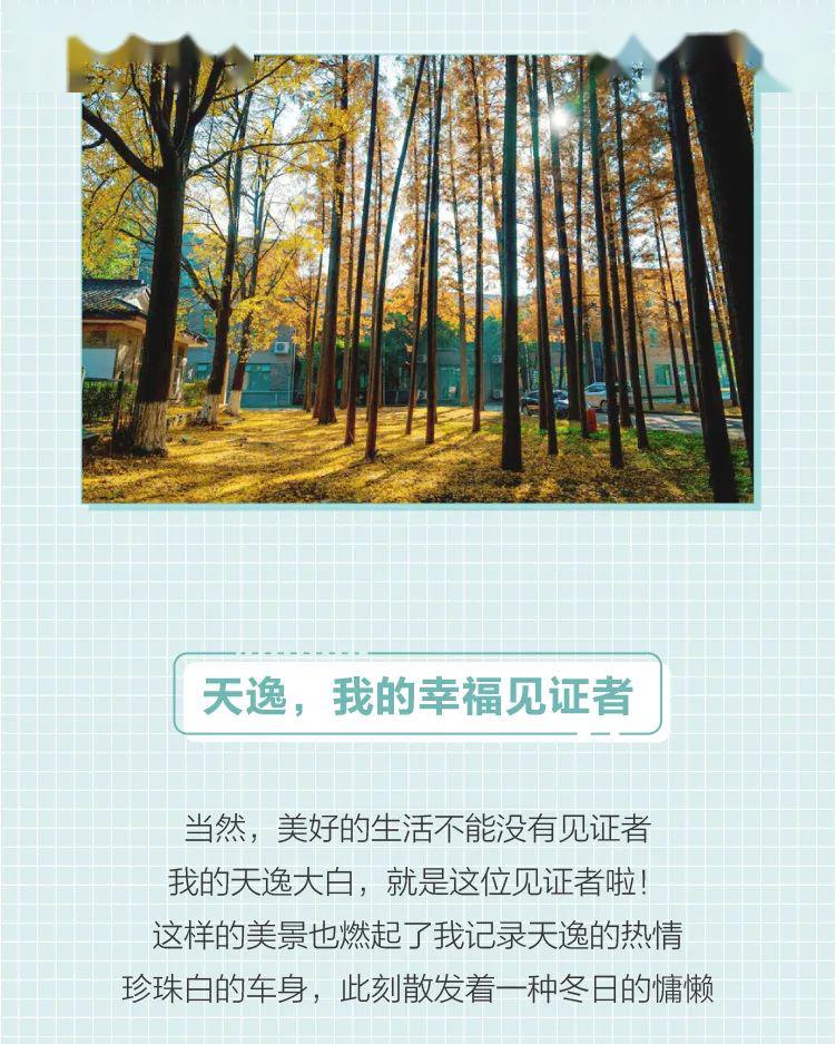 暖阳姑娘简谱_暖阳图片