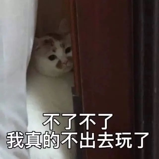 2ae56b20796b4336af840c44de4e5bbf.jpeg