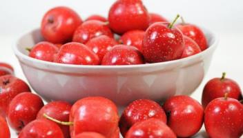 吃什么药不能吃山楂 2d640932948f49678ac88a42522e5094.jpeg