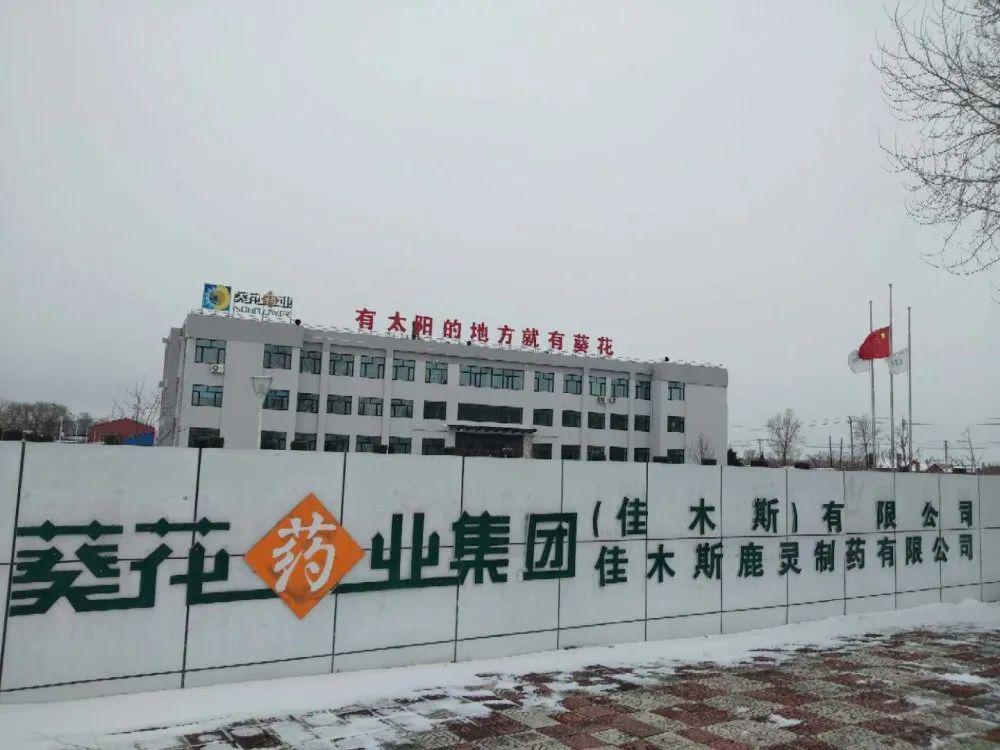 缅怀致敬奋勇战疫的铁血英魂 铭记疫情中逝去的每一个生命 葵花药业