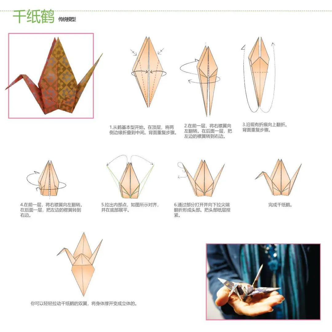 教育创新公开课:百变小鹤|玩折纸学数学⑥