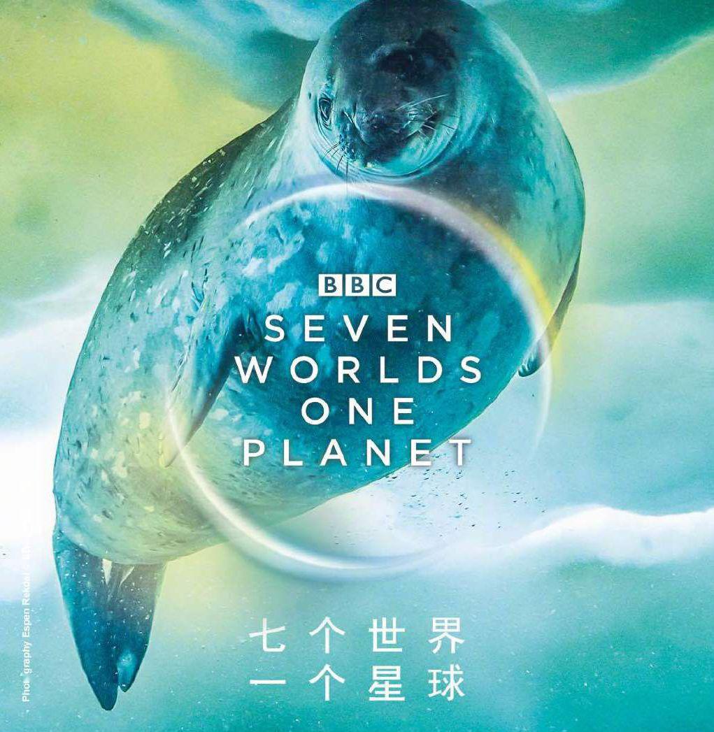8!适合给孩子做科普启蒙的bbc纪录片神作:《七个世界,一个星球》