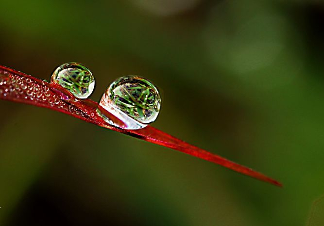 庚子年清明这是个泪雨最多的日子