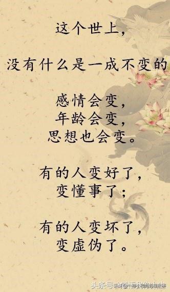 凉凉的电子琴曲谱