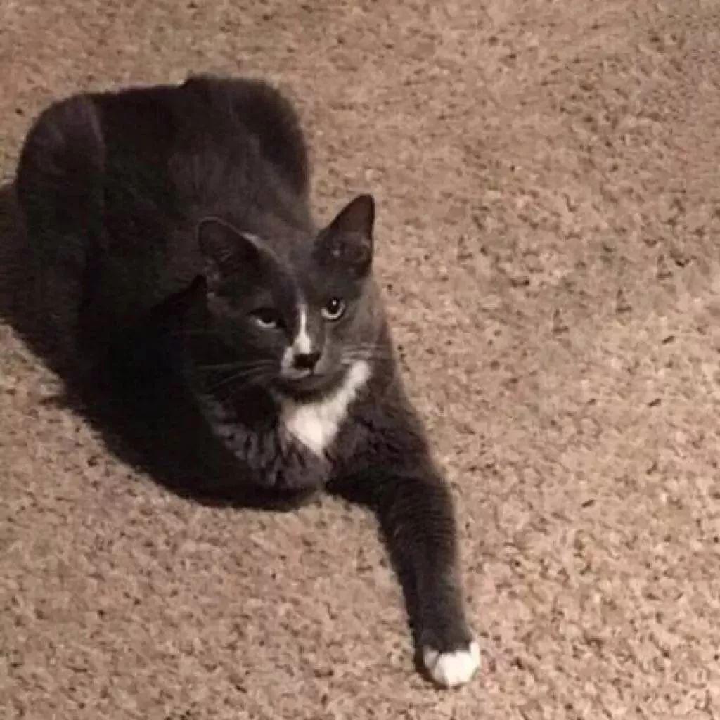 120张超受欢迎的情侣头像.