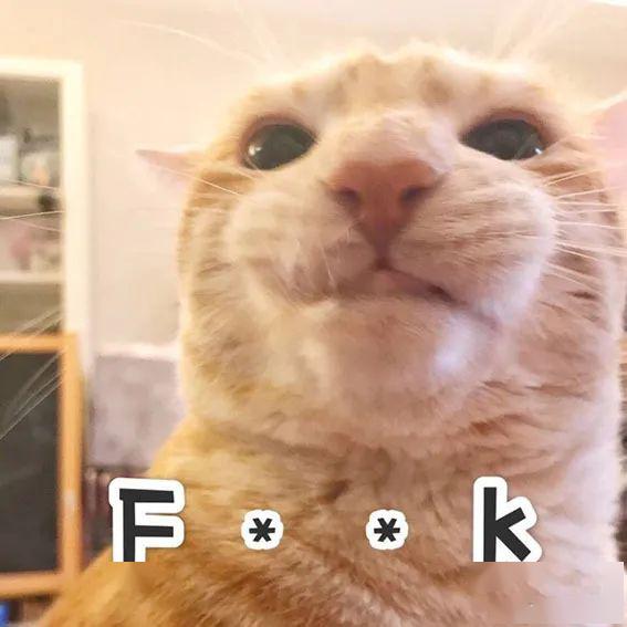 “这是脏话，小猫咪不可以讲的！”_表情