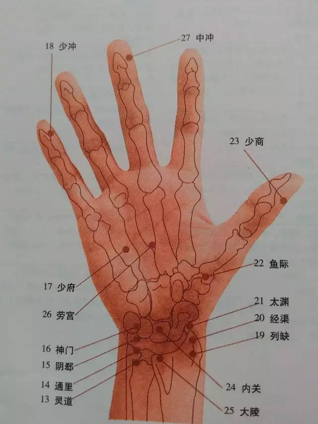 全身穴位图解,一定要收藏!