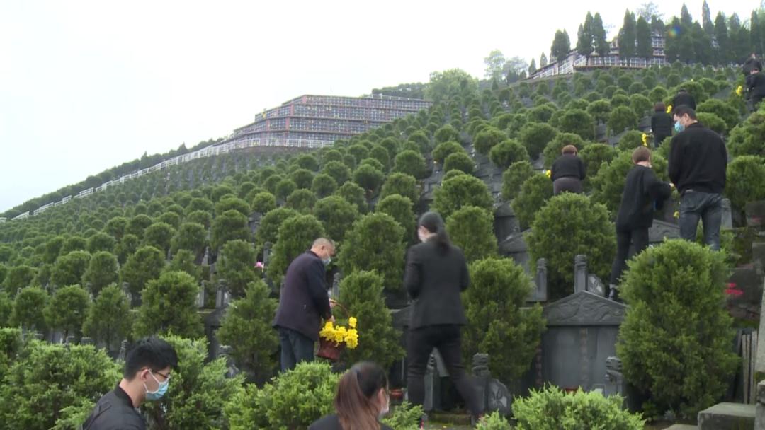 一墓一花一鞠躬建瓯在太平岭公墓举行代祭献花公益活动