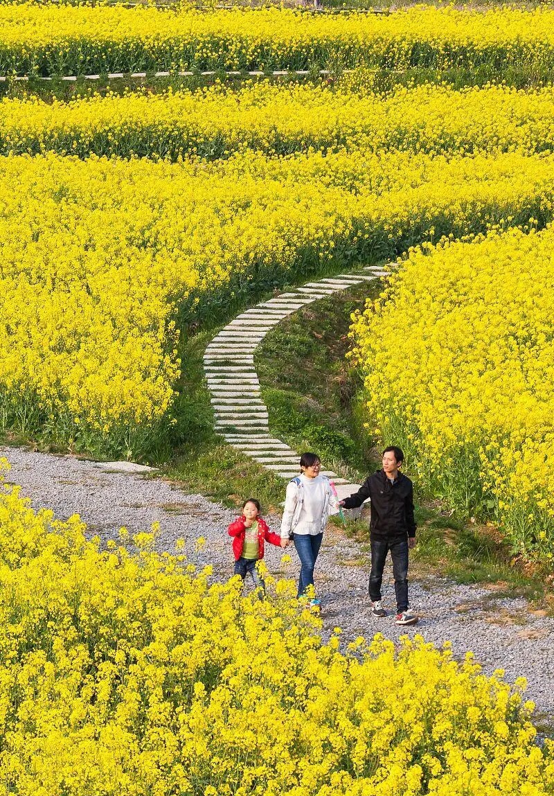 4,把清明回乡扫墓当成踏青旅游