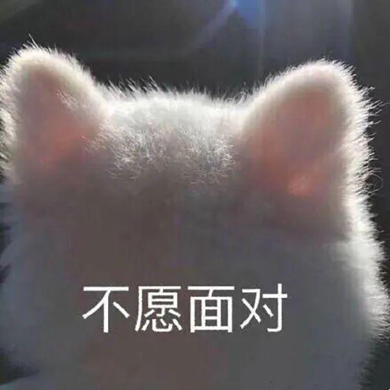 "这是脏话,小猫咪不可以讲的!"_表情
