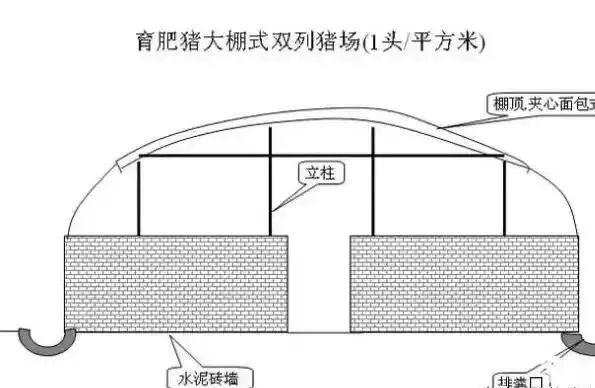 农村小型养猪场设计,最低成本,科学养猪简易猪栏猪舍建造图