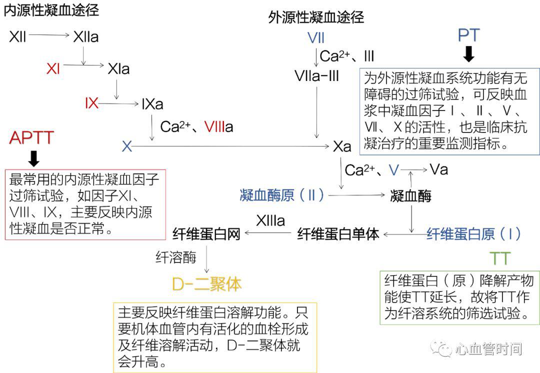 凝血五项不会看?一图帮你搞定